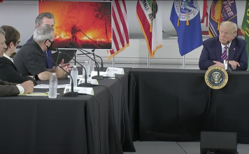 Mere Trump end Trump? Mød Don Junior